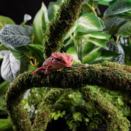 USMOLA Moss Vine for Reptiles, Bendable Climbing Vines Reptile Tank Accessories, Natural Moss Rope for Leopard Gecko, Lizard, Snake, Chameleon, Frog Terrarium Decor (Jungle Green, 6.5 FT)