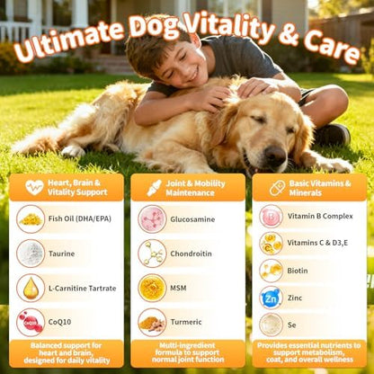 25-in-1 Dog Multivitamin Chews – Daily Vitamins & Supplements for Dogs