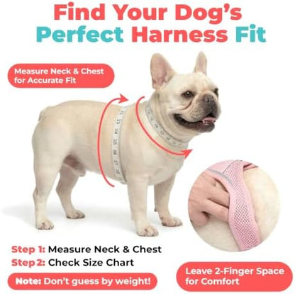 Voyager Step-in Air Dog Vest Harness - Sky Blue, X-Small
