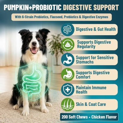 VICSOM Probiotics for Dogs Probiotic Chews, Gut, Immune & Skin Care, 200 Ct
