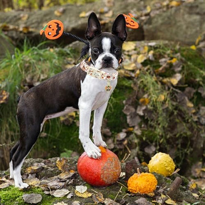 Dog Collars, Thanksgiving Day Pet Collar Holiday Dog Collar Turkey Print Pet Collar Durable Collar Cute Puppy Collar Soft Dog Collars Adjustable Dog Collar Gift for Medium Dogs