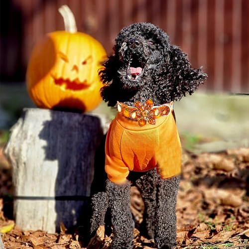 Elegant little tail Fall Dog Collar, Halloween Pet Collars with Flower Cute Pumpkin Print Puppy Collar Female or Male Cotton Adjustable Collars for Small Medium Large Dogs