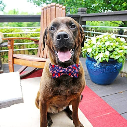 Dog Collar, 4 of July Independence Day American Flag Dog Bow Collar Boy Pet Collar Bowtie Duarble Puppy Collars for Small Medium Large Dog