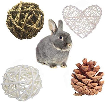 ANDES Rabbit Chew Toys, Pet Bunny Tooth Chew Toys Organic Natural Apple Wood Grass Cake Ideal for Bunny, Chinchilla, Guinea Pigs, Hamsters Teeth Grinding, Bird Exercise Molar (13PCS)