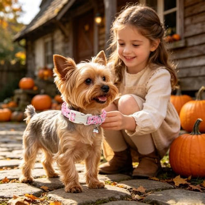 DOGWONG Pink Halloween Dog Collar, Pink Ghost Fall Dog Collar,Girl Female Halloween Dogs Collars for X-Small Puppies Dogs, Neck 8-12 inches