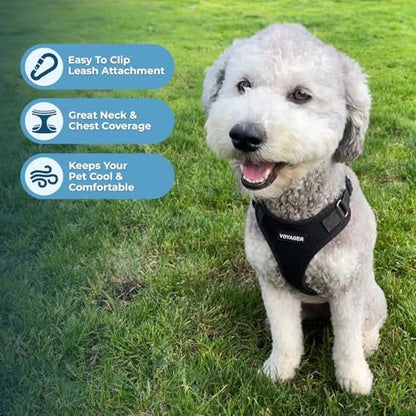 Best Pet Supplies Voyager Step-in Lock Pet Harness w Reflective Pet Leash Combo Set with Neoprene Handle 5ft - Supports Small, Medium and Large Breed Puppies/Cats - Black Set, L