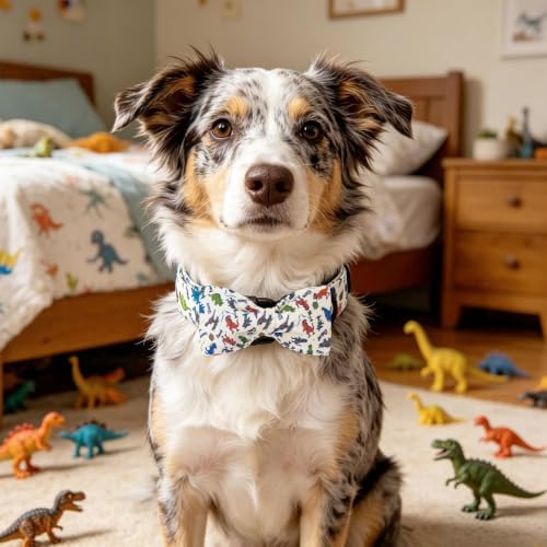 Summer Dinosaur Print Dog Collar with Bow for Medium Dogs