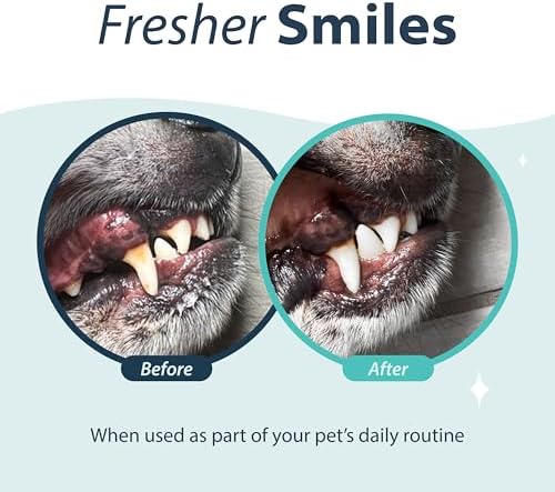 Dental Fresh Oral Spray for Dogs and Cats, Help Freshen Breath for Healthy Teeth & Gums, 4 Fl Oz.