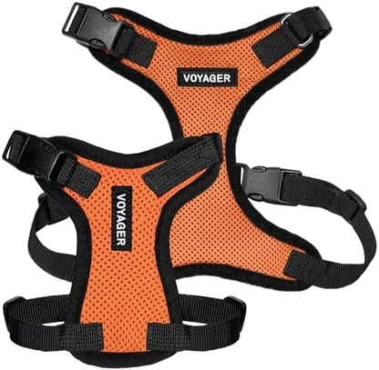 Voyager Step-in Lock Dog Harness - Orange/Black Trim, X-Large