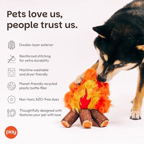 P.L.A.Y. Cute Plush Dog Toys - Camping, Outdoor Themed Durable Squeaker Chew Toy, Great for Puppies & Small, Medium, Large Dogs - Machine Washable, Recycled Materials (Camp Corbin Cozy Campfire)