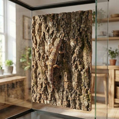 DECHOUS 3Pcs Natural Cork Bark Reptile Terrarium Background, 15.8x12 Inch