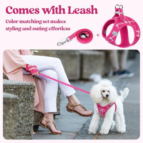 rabbitgoo Dog Harness Medium Sized and Leash Set, Step-in Puppy Pet Vest