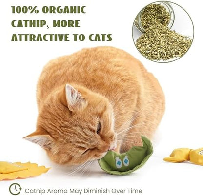 Pawsible 3 Pack Ravioli Catnip Toys for Indoor Cats, Interactive Cat Toys Filled with 100% Organic Catnip, Plush Chew Toys for Kittens, Teething Soft Catnip Toys for Cats