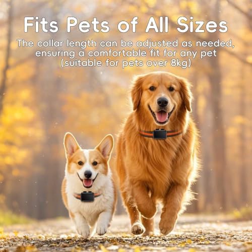 GPS Tracker for Dogs, 4G Waterproof Pet Tracker with Real-Time GPS Tracking, Virtual Fence & Location History, Subscription Required