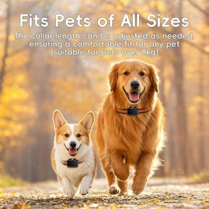 GPS Tracker for Dogs, 4G Waterproof Pet Tracker with Real-Time GPS Tracking, Virtual Fence & Location History, Subscription Required