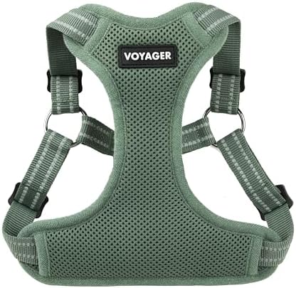 Voyager Step-in Flex Adjustable Dog Harness - Moss Green, X-Small