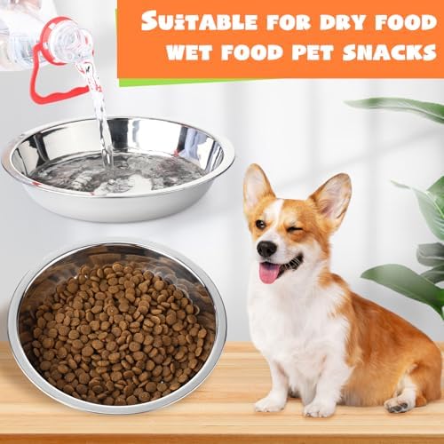 Patelai 12 Pcs Dog Bowl with Lid, Red, Blue, Green, Purple