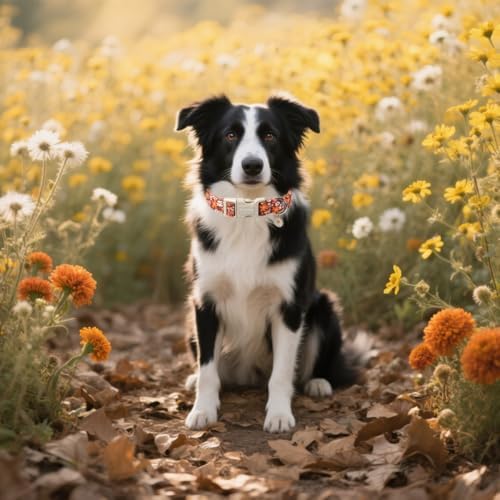 Lionet Paws Vintage Floral Dog Collar- Cute Fall Groundsel Oxalis Golden-Rod Dog Collars with Plastic Buckle,Light Adjustable Brown Dog Collars for Small Dogs