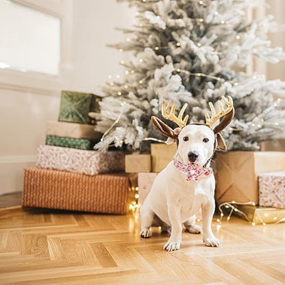 Dog Collar Christmas Gingerbread Man and Snowman Print Pet Collar Holiday Soft Dog Collars with Flower Adjustable Metal Buckle Collar for X-Large Dogs
