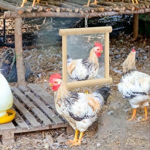 Sadnyy 2 Pcs Extra Large Chicken Mirror Toy for Coop Double Side Mirror