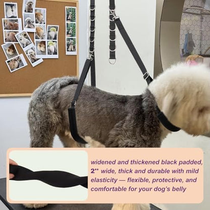Dog Grooming Belly Strap - 3PCS Grooming Restraint Set Adjustable Belly Band Loops Strap with Padded Support & Loop Extension Straps Pet Grooming Harness Kit for Dogs (Sky Blue)