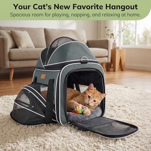 Morpilot Top and Side Expandable Cat Carrier for Pets up to 20lbs
