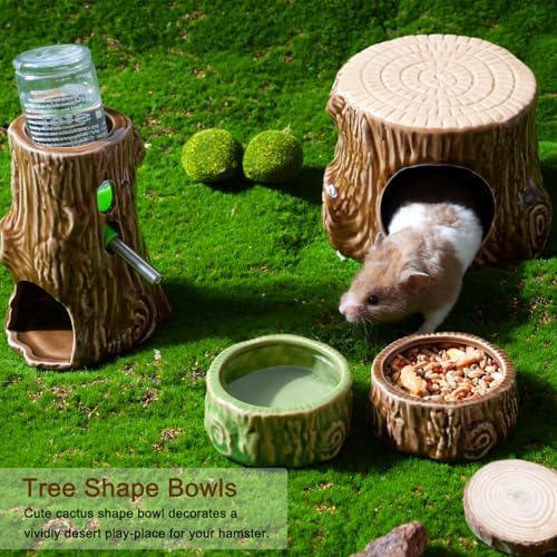 2 Pack Ceramic Hamster Food Bowl Anti-Tip Chew-Proof Water Dish