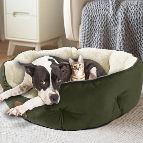 Asvin Medium Dog Bed for Medium Dogs, Cat Beds for Indoor Cats, Pet Bed for Puppy and Kitty, Extra Soft & Machine Washable with Anti-Slip & Water-Resistant Oxford Bottom, Green, 25 inches
