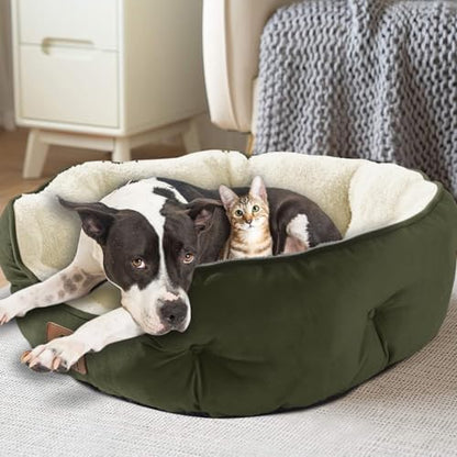 Asvin Medium Dog Bed for Medium Dogs, Cat Beds for Indoor Cats, Pet Bed for Puppy and Kitty, Extra Soft & Machine Washable with Anti-Slip & Water-Resistant Oxford Bottom, Green, 25 inches