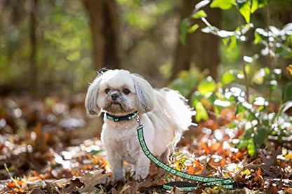 NBA Boston Celtics Dog Leash, Size Small. Heavy-Duty Metal Swivel Buckle Pet Leash