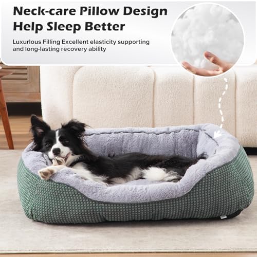 INVENHO Dog Bed Medium Size, Orthopedic Warming Soft Calming Sleeping Durable with Anti-Slip Bottom