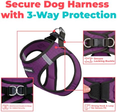 Voyager Step-in Air Dog Vest Harness - Purple/Black Trim, XX-Small