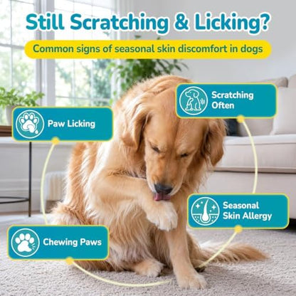 Woyamay Dog Allergy Chews, Dog Itching Skin Relief Chews, 200 Soft Bites