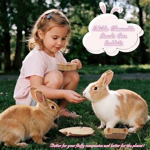 WALLFIDL 6-Piece 3.5" & 6" Natural Chew Toys for Rabbits,Bunny Accessories (3.5 inches*6)