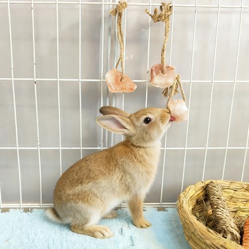 Hamiledyi 8 PCS Rabbit Salt Lick Block Natural Small Animal Himalayan Salt Lick Hanging Chew Toys Rat Mineral Block Chew Treat Supplies for Bunny Guinea Pig Chinchilla Ferret Hamster