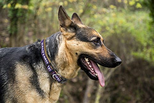 Pets First NFL Baltimore Ravens Licensed PET COLLAR, Extra Large - Heavy-Duty, Strong, and Durable Dog Collar. Available in 31 Football Teams and 4 Sizes