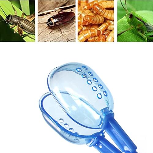 3in1 Feeding Tool Reptile Feeding Tongs Cricket Clamp Bug Scooper, Cleaning Supplies Scooper+ 2x Tweezers for Reptile, Hedgehog, Hamsters, Guinea Pig,Lizard, Spider Bearded Dragon (Blue)