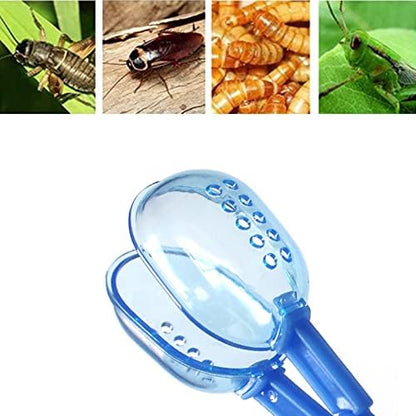 3in1 Feeding Tool Reptile Feeding Tongs Cricket Clamp Bug Scooper, Cleaning Supplies Scooper+ 2x Tweezers for Reptile, Hedgehog, Hamsters, Guinea Pig,Lizard, Spider Bearded Dragon (Blue)