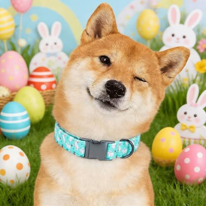 Easter Dog Collar, White Rabbit Print Blue Pet Collars Cute Durable Metal Buckle Girl and Boy Dog Collars Adjustable for Small Medium Large Dogs