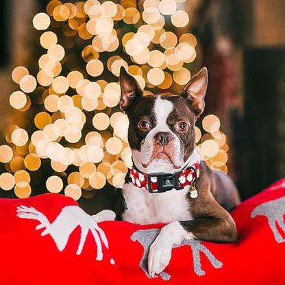 Lionheart Glory Christmas Dog Collar Red Santa Claus Dogs Collar - Adjustable Safety Soft Collars for Medium Dogs Puppy Girl or Boy Xmas Pet Collars Holiday