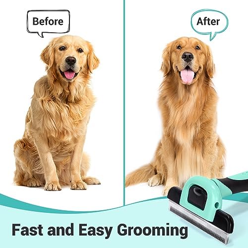 MIU COLOR Pet Grooming Brush, Deshedding Tool for Dogs & Cats, Spring Green