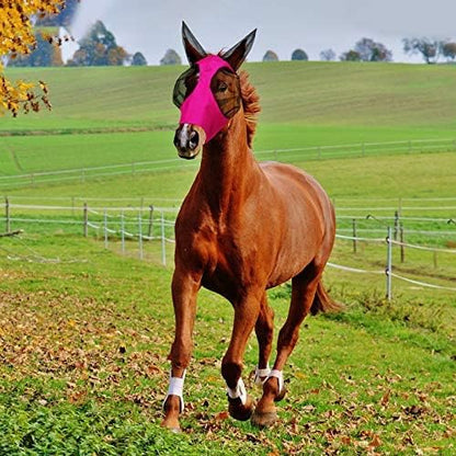 Weewooday 2 Pcs Horse Fly Mask with Ears, Soft Stretchy Horses Face Masks for Flies, Breathable Mesh Eye Cover, UV Protection Horse Masks for Pasture, Barn, Turnout(L,Royal Blue, Pink)