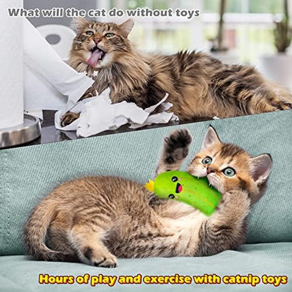 MALLMALL6 Pickle Catnip Cat Toys - 5Pcs Indoor Kitten Chew Bite Kick Cucumber Catmint Interactive Toys for Cat Lover Gifts, Kitty Boredom Relief Supplies with Cute Expression for Pet Birthday Presents
