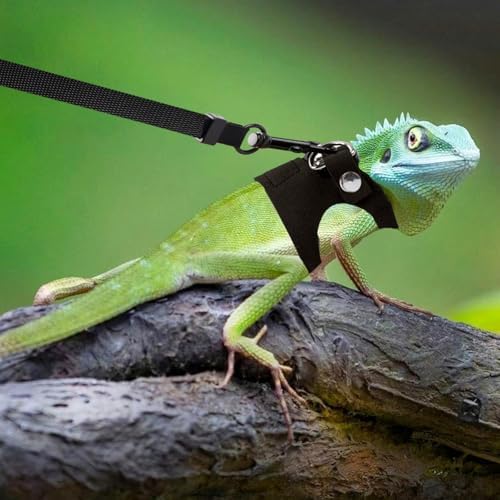 3 Pack Bearded Dragon Harness and Leash, Adjustable Bearded Dragon Leash and Harness Set with Traction Rope Bearded Dragons Clothes for Lizards and Other Small Reptiles (3 Sizes)