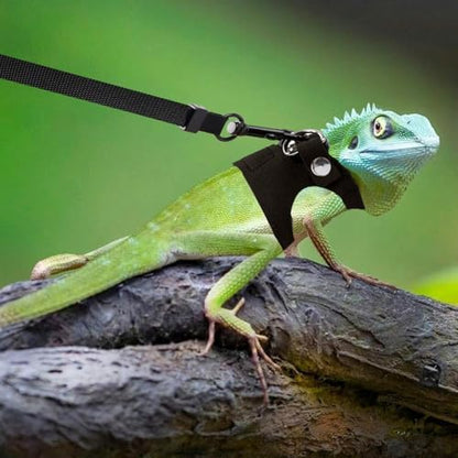 3 Pack Bearded Dragon Harness and Leash, Adjustable Bearded Dragon Leash and Harness Set with Traction Rope Bearded Dragons Clothes for Lizards and Other Small Reptiles (3 Sizes)