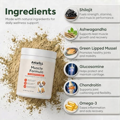 Muscle Formula for Dogs – Glucosamine Chondroitin & Green Lipped Mussel | Shilajit, Ashwagandha | Hip and Joint Supplement for Dogs Muscle Strength & Mobility | Dog Joint Supplement All Breeds