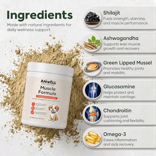 Muscle Formula for Dogs – Glucosamine Chondroitin, Green Lipped Mussel | Shilajit, Ashwagandha | Hip and Joint Supplement for Dogs Muscle Strength & Mobility | Dog Joint Supplement | Pack of 3