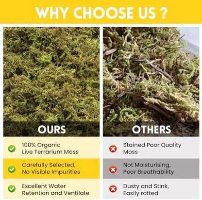 Riare 2.6lb Natural Sphagnum Moss for Reptiles, Terrarium Substrate Bedding