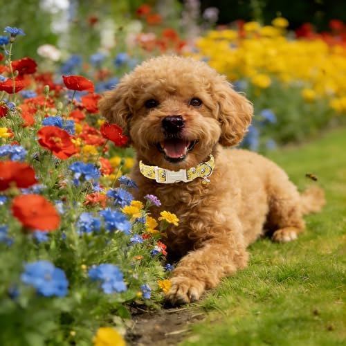 Lionet Paws Spring Dog Collar- Cute Bees Yellow Dogs Collar with Plastic Buckle and Bee Pendant,Dog Collar for Small Medium Dogs