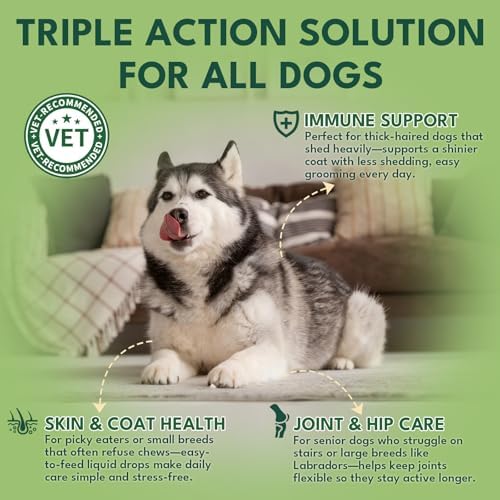 YOTANGO Liquid Collagen for Dogs, Dog Collagen Supplement, Bacon, 60ml